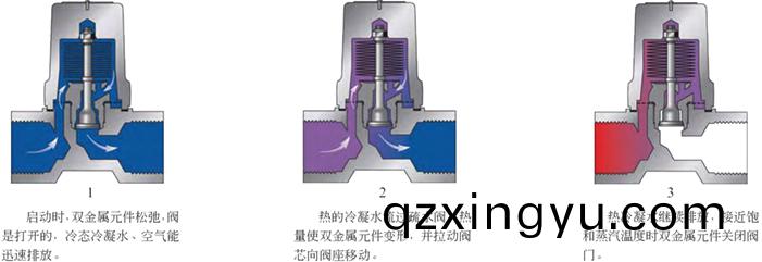 进口双金属温调(diao)式蒸汽(qi)疏水(shui)阀(fa)3.jpg