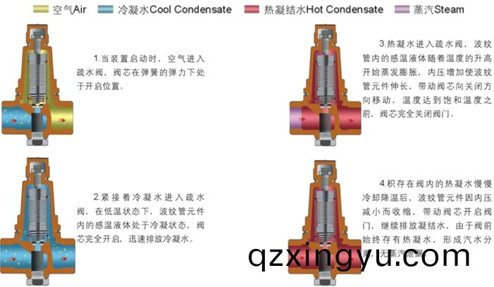 进(jin)口(kou)恒(heng)温式波纹管(guan)蒸汽疏水(shui)阀3.jpg
