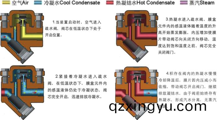 进口(kou)热(re)静(jing)力膜盒(he)式(shi)蒸汽疏(shu)水阀(fa)3.jpg