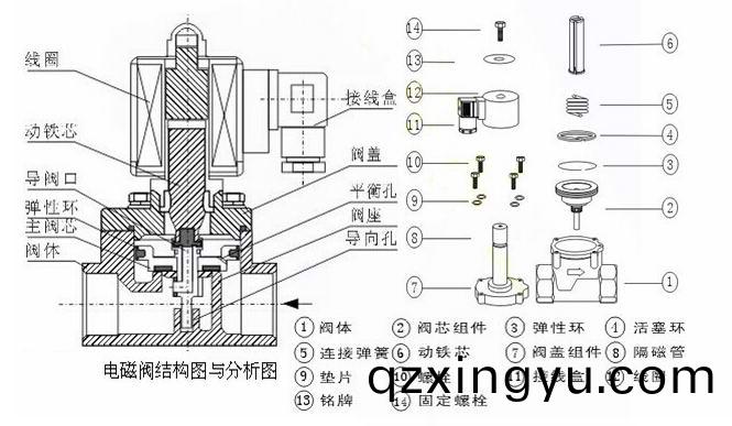 进(jin)口高(gao)频(pin)率(lv)电(dian)磁阀(fa)结(jie)构图(tu)2.jpg