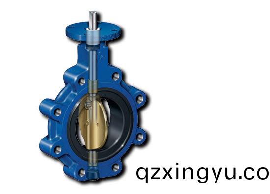 进口(kou)蝶阀管道安装(zhuang)说(shuo)明书