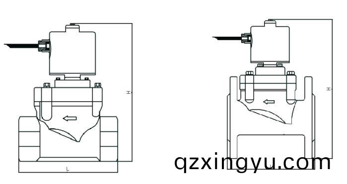 进(jin)口(kou)油(you)用(yong)电(dian)磁阀(fa)结构(gou)图(tu).jpg
