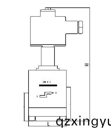 进口低(di)温防(fang)爆(bao)电(dian)磁阀(fa)结(jie)构(gou)图(tu).jpg