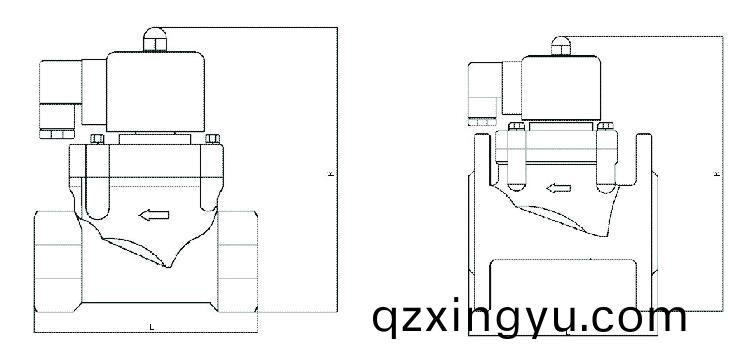 进口(kou)沼气(qi)电(dian)磁阀(fa)结(jie)构图1.jpg