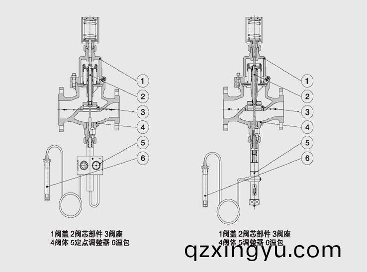 进口(kou)自力(li)式温(wen)度调(diao)节阀(fa)结(jie)构(gou)图(tu)2副本.jpg