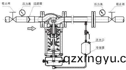 进(jin)口自力式(shi)蒸(zheng)汽(qi)调压(ya)阀结构(gou)图1.jpg