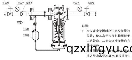 进(jin)口自(zi)力(li)式(shi)蒸汽(qi)调压(ya)阀(fa)结(jie)构(gou)图(tu)2.jpg