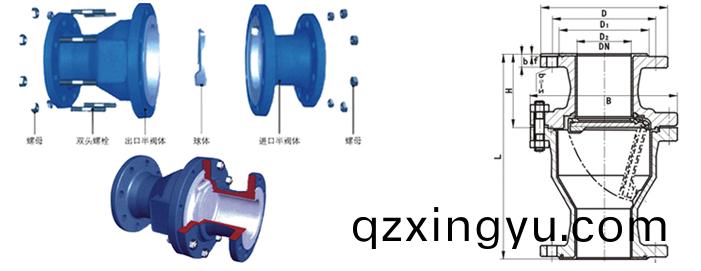 进(jin)口(kou)衬(chen)氟旋(xuan)启式(shi)止(zhi)回(hui)阀结(jie)构(gou)图(tu)2.jpg