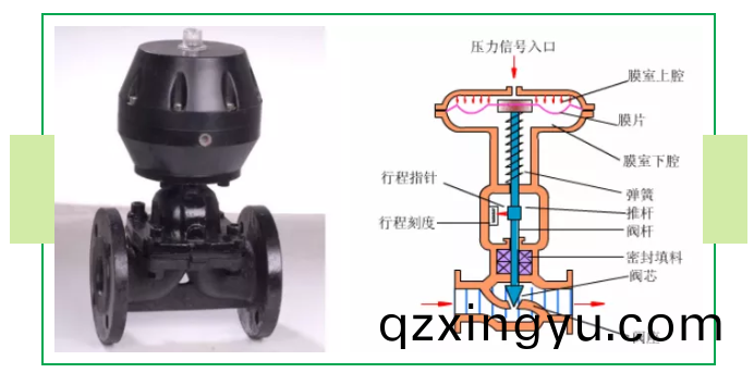进口(kou)气动(dong)衬(chen)氟隔膜(mo)阀(fa)结(jie)构图1.png