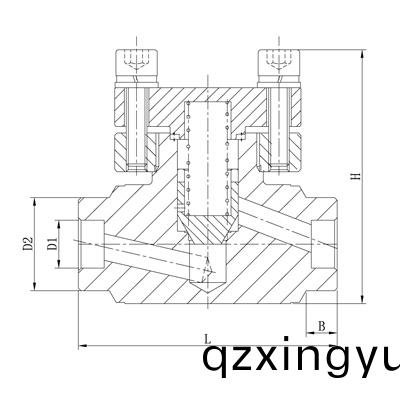 进(jin)口低(di)温(wen)高(gao)压止回阀结构(gou)图.jpg