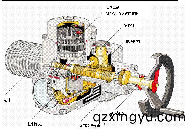 进口(kou)电动衬氟(fu)闸(zha)阀执行器(qi)结构(gou)图.jpg