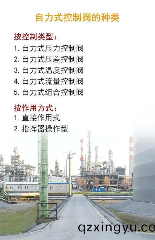 自(zi)力式(shi)控(kong)制(zhi)阀(fa)1.jpg
