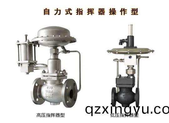 自(zi)力(li)式控(kong)制阀(fa)6.jpg