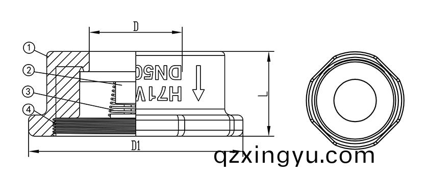 对(dui)夹升(sheng)降式止回(hui)阀1.jpg