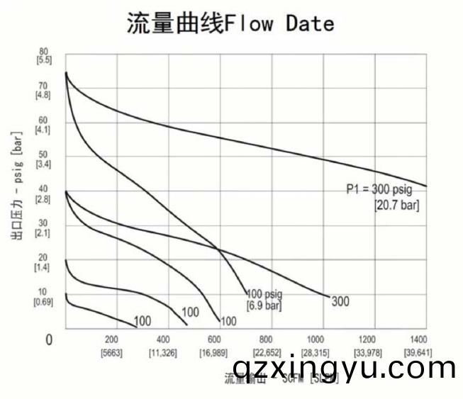 进口(kou)超(chao)大(da)流量不锈(xiu)钢减(jian)压(ya)器(qi)流(liu)量曲线.jpg