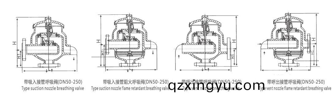 进口(kou)带呼(hu)出接(jie)管(guan)呼(hu)吸(xi)阀(fa)结(jie)构(gou)图.jpg